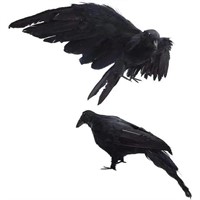 2PACK Life Size Realistic Crows