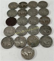 (21) Buffalo Nickels