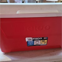 Igloo Cooler