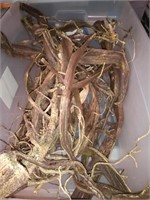 Container full of brown branches