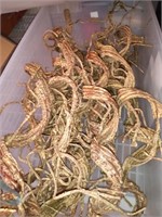 Container of stoghorm branches short and long