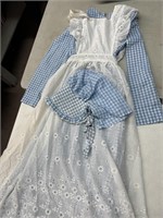Vintage Colonial Early American Gingham Style