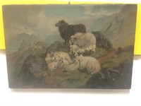 12 x 18 Study of Davison’s Mountain Sheep