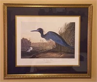 Framed & Matted Audubon Blue Crane or Heron Print