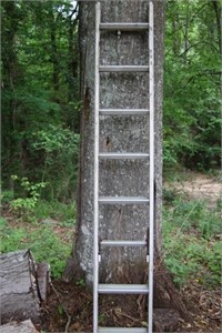 A.L. Ladder 16' needs wd-40