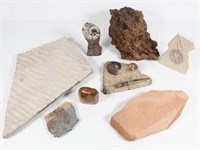 8 PC. PREHISTORIC FOSSIL COLLECTION