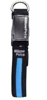 GlowPets 5401 Small USB Rechargeable Collar,