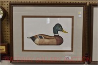 Duck Decoy Limited Edition Print: