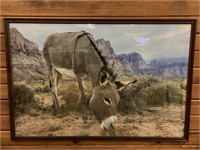 Framed poster print  Desert Burro