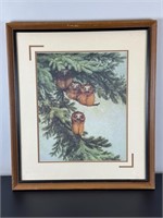 Vintage Framed Print - Owls in Spruce Tree