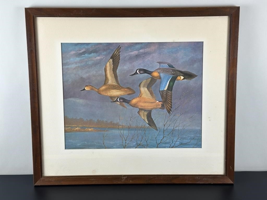 Vintage Carved Duck and Bird Decoys, Calls, Framed Prints