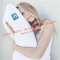 Sleepgram Adjustable Pillow Set