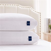 ACCURATEX King Foam Pillows  2-Pack