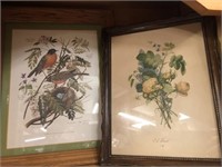 Two Vintage Nature Prints