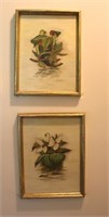 2 Floral Framed Artwork by R.C. Willis