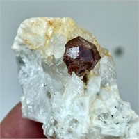 148 CTs Natural Bunch Of Hessonite Garnet Specimen