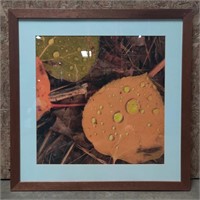 Matted & Framed Photograph, 30inX30in