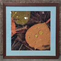 Matted & Framed Photograph, 30inX30in