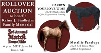 Rollover Auction // 2 Fillies