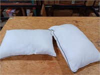 MZOIMZO 2 pillows queen 15.7x27.5