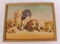 1940's Cocker Spaniel puppy dogs print, framed,