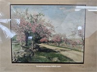 Wallace Nutting Signed Print A Patriarch in Bloom