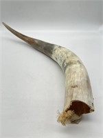 Vintage Ox Horn Decor