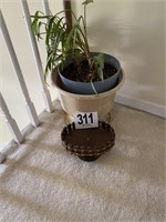 Plant & Misc. Home Décor (Loft)