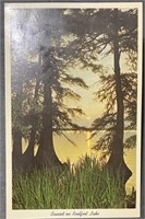 Vintage Sunset On Reelfoot Lake Postcard PPC