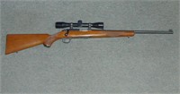 Ruger 77/22  ( .22 Cal) with Bushnell Scope