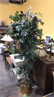 Faux Tree plant w/ the brass stand over 6 ft tall