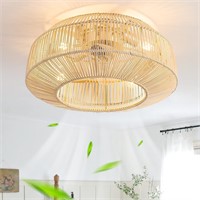 20" Boho Caged Ceiling Fan with Lights
