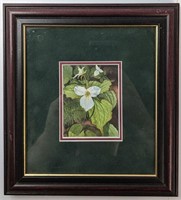 Framed Print By Mary Dawn, Trillium Signed On Back