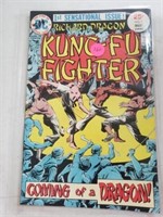 Kung Fu Fighter #1 DC