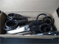 Box of 12 Scissors