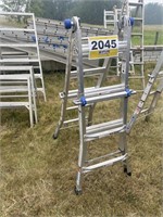 WERNER Adjustable Step Ladder