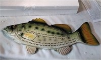 Large Mouth Bass Cribbage  Board