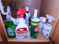 Cleaning product & more under sink