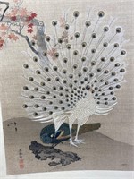 Vintage Japanese woodblock print - White Peacock