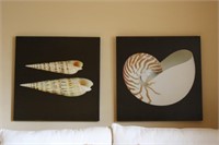 2 Large Sea Shell Prints 30x30