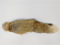 RED FOX TAIL TAXIDERMY ROCK STONE LAPIDARY SPECIME