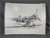 Mike Lynch's Curtiss P-40, American Art Publishing