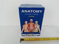 Anatomy Flash Cards Set