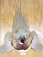 Mounted Pheasant & Wooden Goose Wall Decor