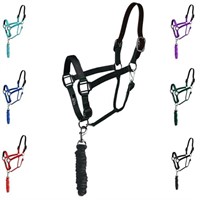 Majestic Ally Leather Halter with Matching Lead