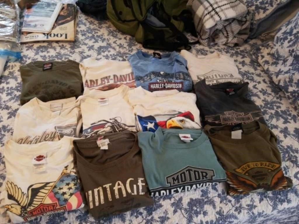 12 Harley Davidson t-shirts all with issues