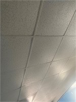 ceiling tiles and frame for tiles 800 sf