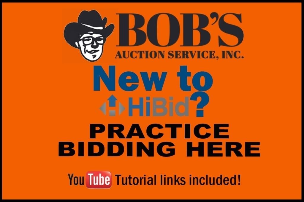 Practice Bidding