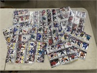 Large Group of Sleeved NHL Trading Cards