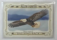 2021 Topps Allen & Ginter #RB-3 Bald Eagle!